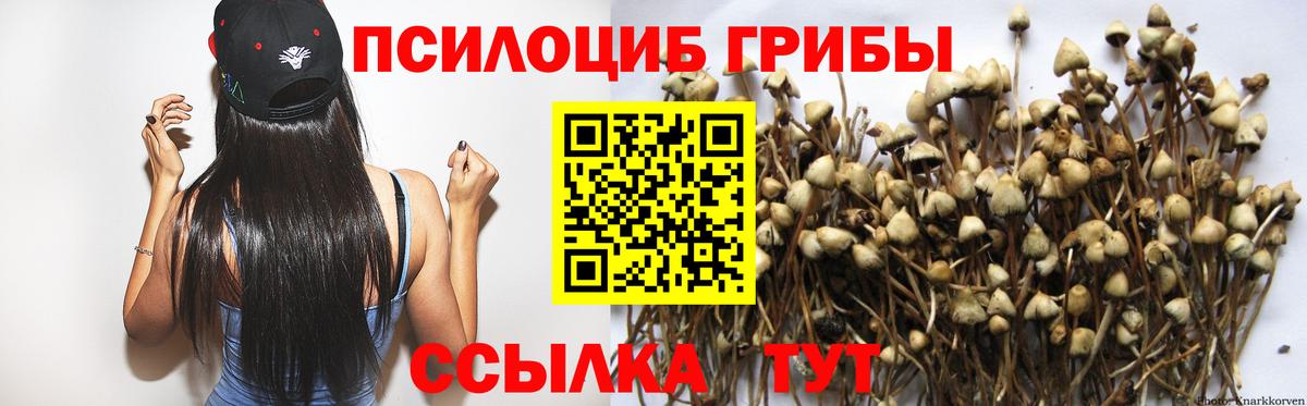 Галлюциногенные грибы мицелий  Вход с VPN  Артёмовский 