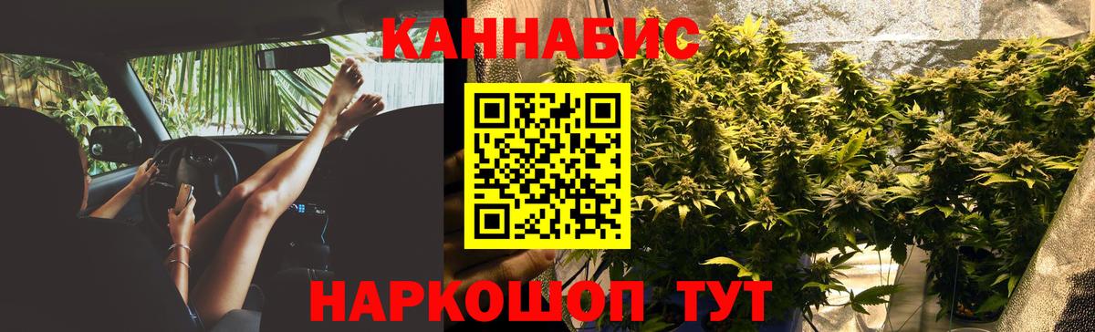 Бошки Шишки гибрид Артёмовский