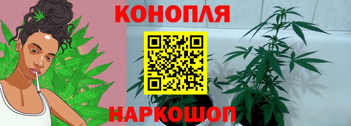 Бошки марихуана планчик  Марихуана LSD WEED  Вход с VPN  МАРИХУАНА тримм  Артёмовский 